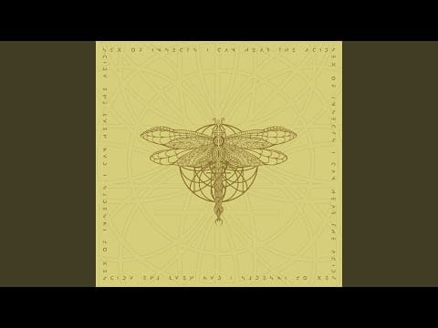 Sex Of Insects — I Can Hear the Acid (Original Mix)