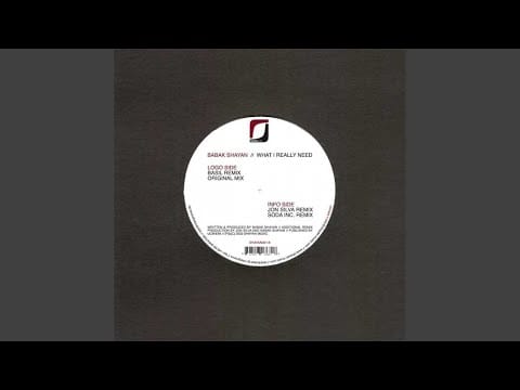 Babak Shayan — What I Really Need (Original)