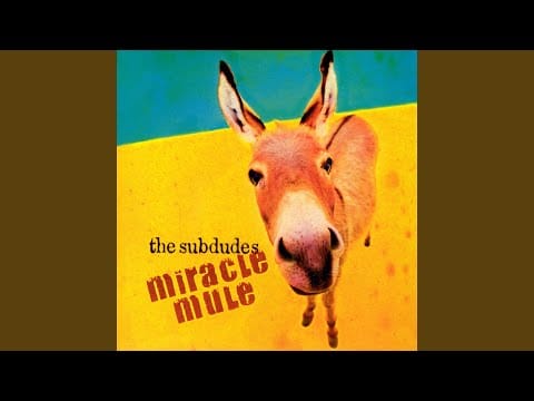 The Subdudes — Miracle Mule