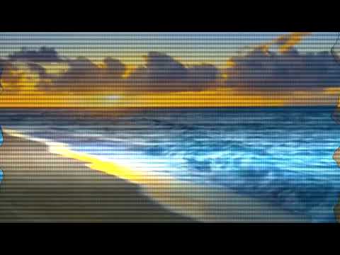 odaxelagnia — Odaxelagnia - ガゼボガゼボ