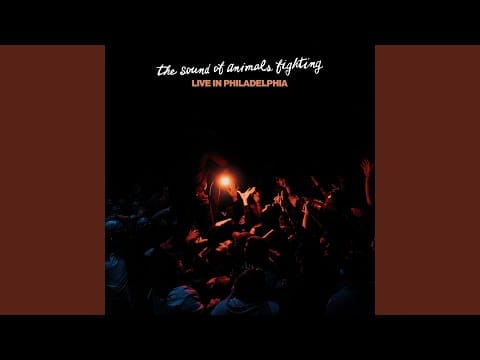 The Sound of Animals Fighting — Wolf (Live)