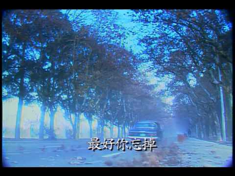 Stella Chang — 張清芳-《 偶然》-  (豐華唱片official 官方完整版MV)