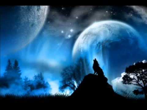 Dave Clarke — Dave Clarke   The Wolf