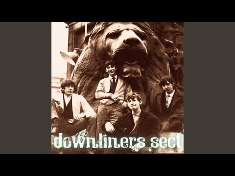 Downliners Sect — Green Onions