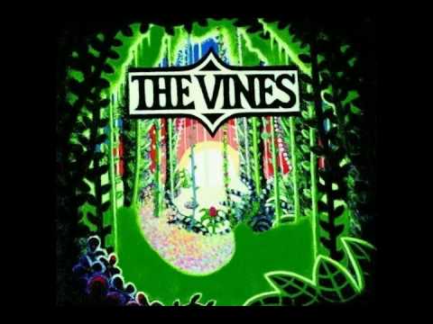 The Vines — The Vines - Highly Evolved (Track 5)