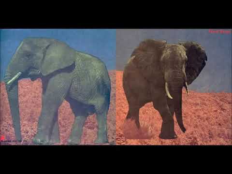 Food Brain — Food Brain - Social Gathering 1970  (Full Album)