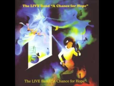 The Live Band — the live band - Serious Situation