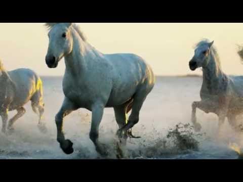 Justin Hayward — Justin Hayward - The Wind Of Heaven
