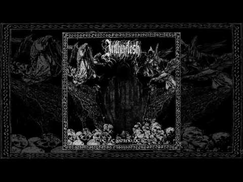 InThyFlesh — Inthyflesh - Forever Insanity
