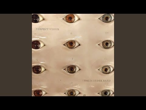 Thalia Zedek Band — From the Fire