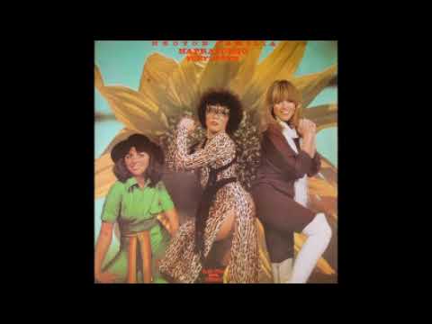 Neoton Família — Neoton Familia Napraforgo