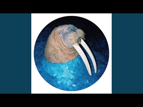 Tross (2) — Gagarin