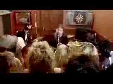 The Rifles — The Rifles - Local Boy