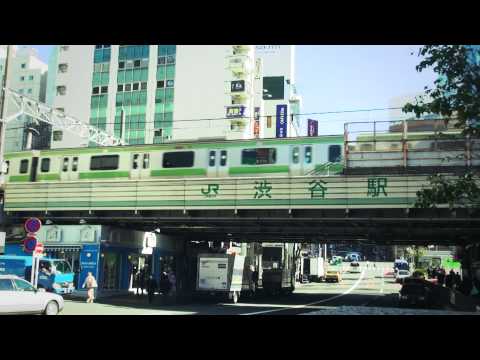 Hoshino Michiru — 星野みちる - 彼のアイリッシュ・セッター (Official Music Video)