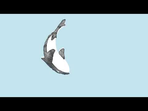 Safia Nolin — Safia Nolin - Les marées (audio)