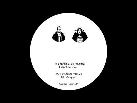 Tapani Rinne — TM Shuffle & Electranica – Into The Night