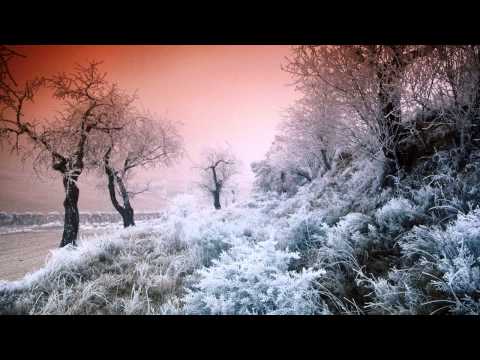Mihai Popoviciu — Mihai Popoviciu – Roasted [Original Mix]