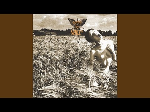 Noyce™ — Hypnotized