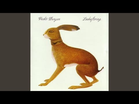 Vashti Bunyan — Against The Sky