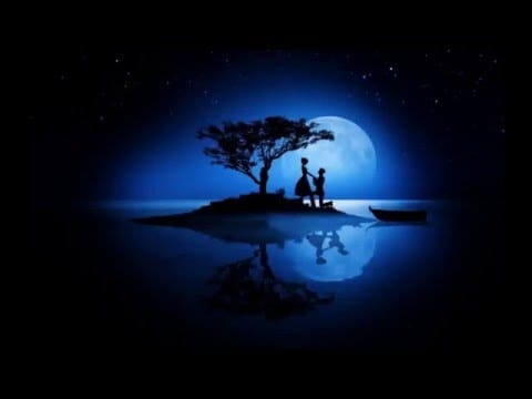 Danny Janssen — Blue Moon - Danny Janssen