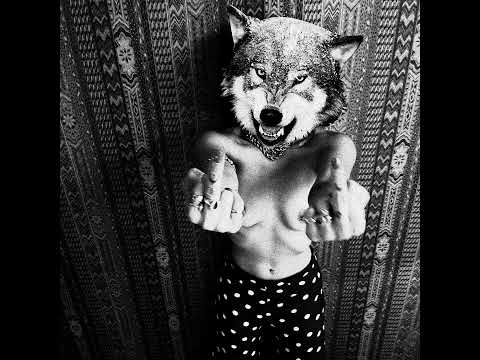 Lolawolf — Start Now Stop