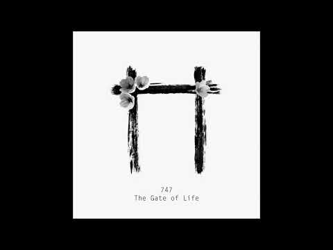 747 — 747 - Metal Upa (Original Mix)