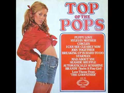 The Top Of The Poppers — TOTP Vol  25  10   Love Theme From 'the Godfather'  Session Singers 1972