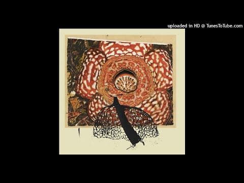 Klimperei — David Fenech & Klimperei - Levy Attend