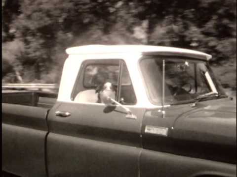 Eels — EELS - In My Younger Days - from END TIMES -- out now!
