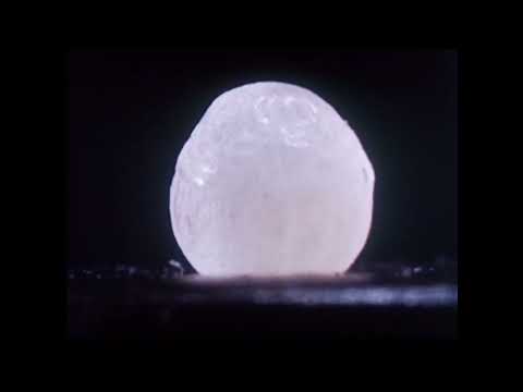 Swesor Bhrater — Swesor Bhrater  // When The Dark Comes