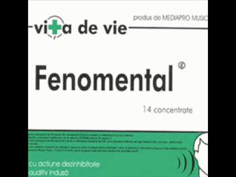Vița De Vie — Vita de Vie - Cantec despre un baiat