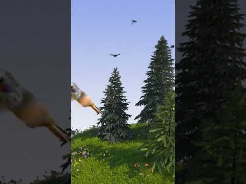 Voyou (3) — Voyou - Les oiseaux (Visualizer)