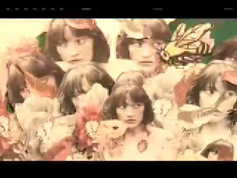 Blitzen Trapper — Blitzen Trapper - Furr [OFFICIAL VIDEO]