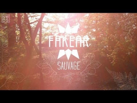 Fakear — Fakear - Pale War God
