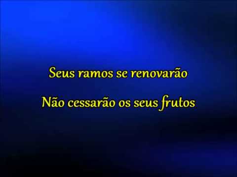 Diante Do Trono — Ao Cheiro das Águas - Diante do Trono(playback legendado)