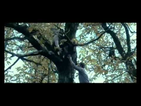 C.S.I. — C.S.I. - Linea Gotica