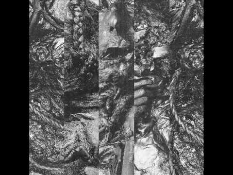 Lesion (2) — LESION-noose