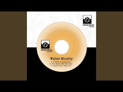 Walter Murphy Orchestra — The Music Will Not End