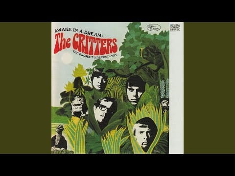 The Critters — Because You Came to See Me Today