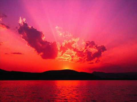The Frank Popp Ensemble — frank popp = comin' home baby