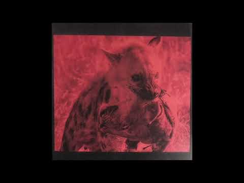 Internal (4) — Internal - S/T LP [2020]