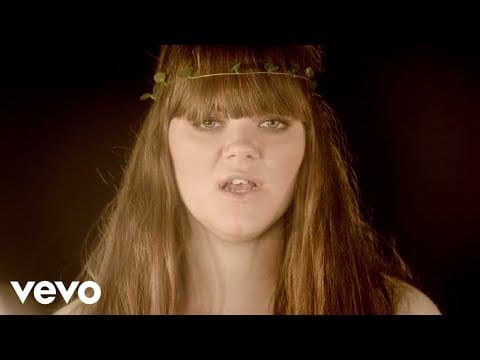 First Aid Kit — Wolf