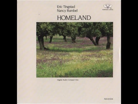 Tingstad & Rumbel — Eric Tingstad & Nancy Rumbel — Immigrant