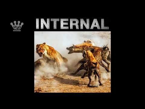 Internal (4) — [EGxHC] Internal - Primal State - 2021 (Full Album)