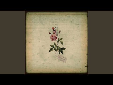 In The Pines — On the Table