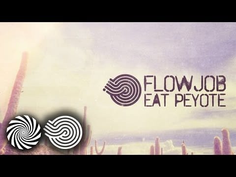 Flowjob — Critical Choice - Disturbed Owl (Flowjob Remix)