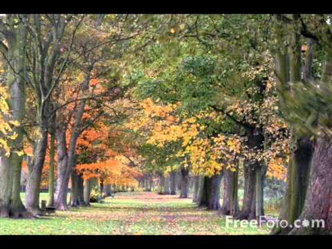 Temple One — Temple One feat. Hannah Ray - Autumn Leaves (Intro Mix)