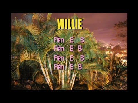 Jean Leloup — Jean Leloup - Willie (Avec paroles)