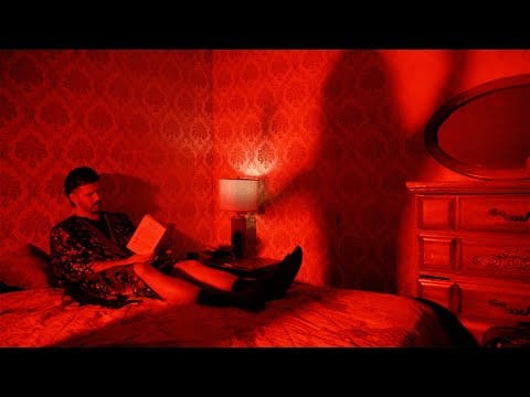 The Wombats — X-Rated (Official Visualiser)