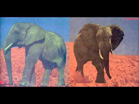 Food Brain — Food Brain - Social Gathering (1970) - Full Album